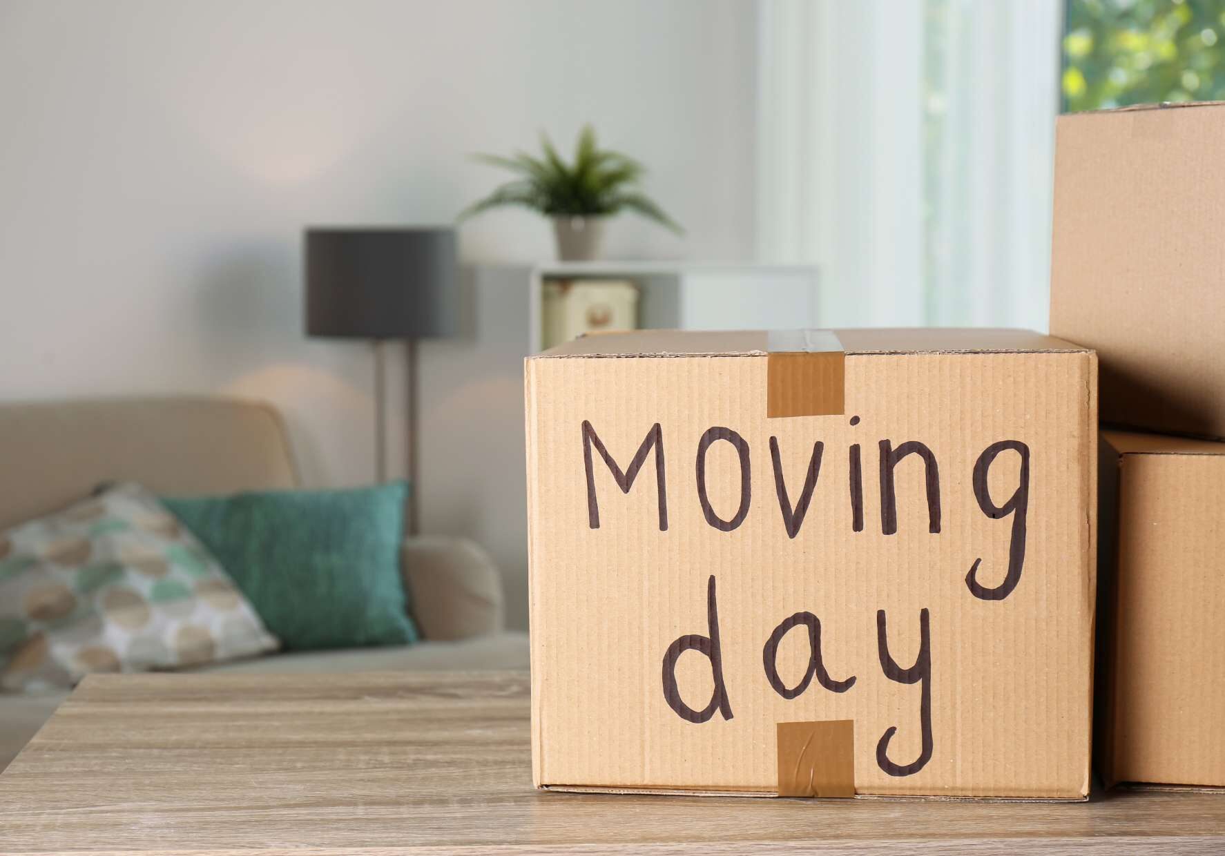 Moving day
